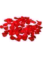 Feestkleding Breda Rozenblaadjes luxe rood