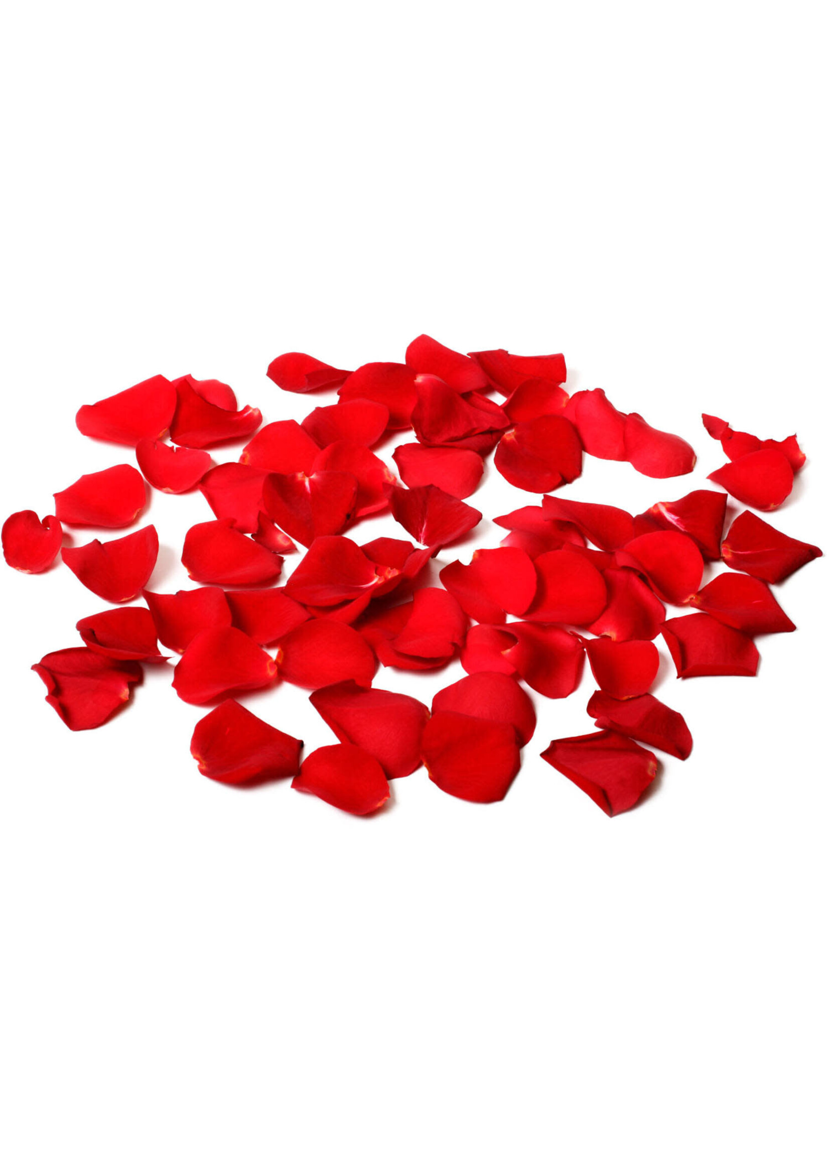 Feestkleding Breda Rozenblaadjes luxe rood