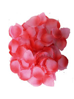 Feestkleding Breda Rozenblaadjes luxe roze