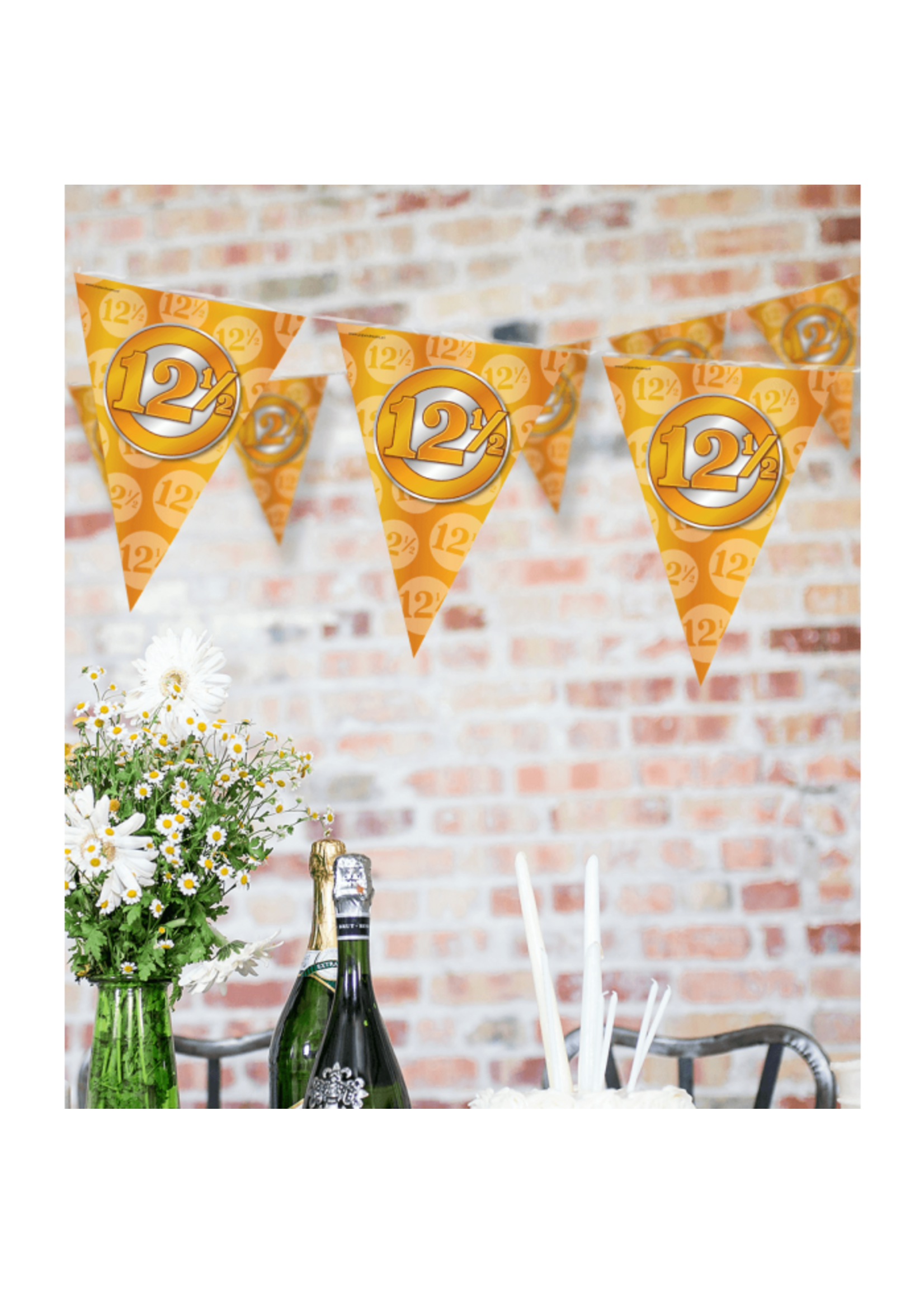 Feestkleding Breda Vlaggenlijn 12,5 jaar brons