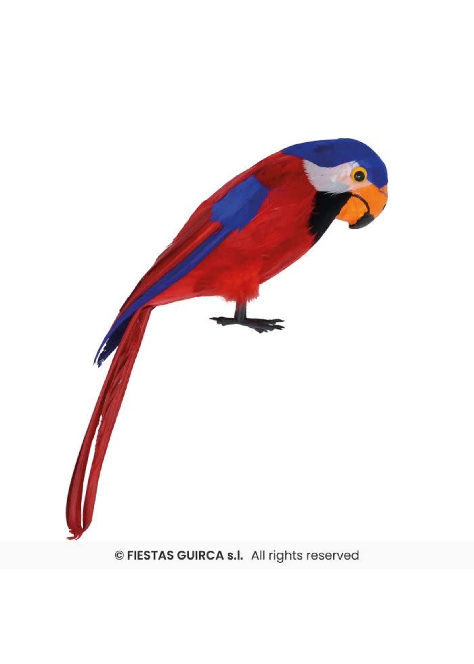 Fiestas Guirca Papegaai, 36 cm