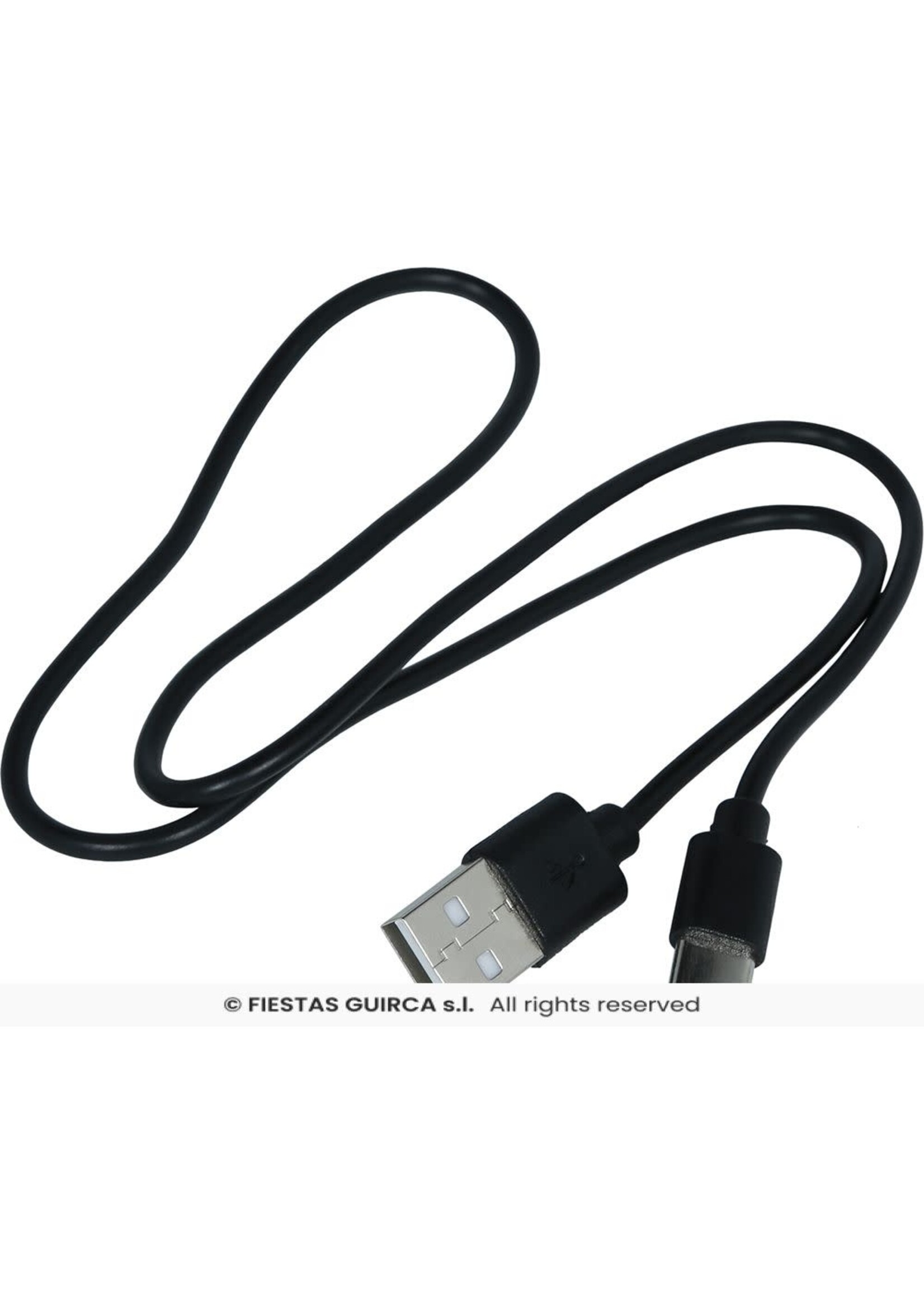 Fiestas Guirca Rookschedel met licht en USB-aansluiting