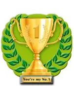 Feestkleding Breda Huldeschild "You're my number 1"