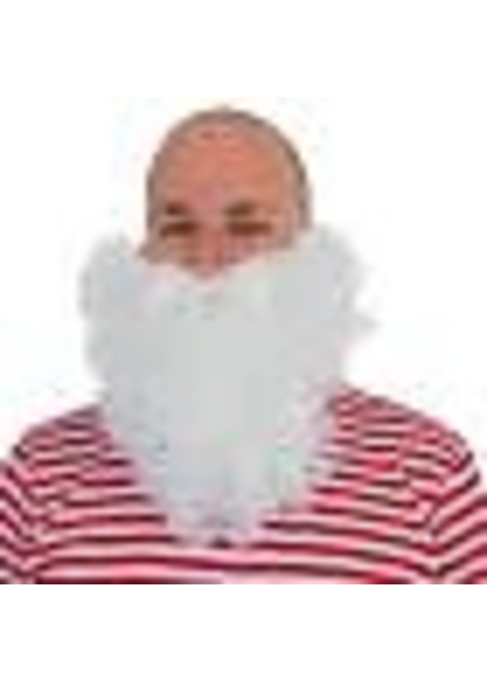 Feestkleding Breda Kabouterbaard wit