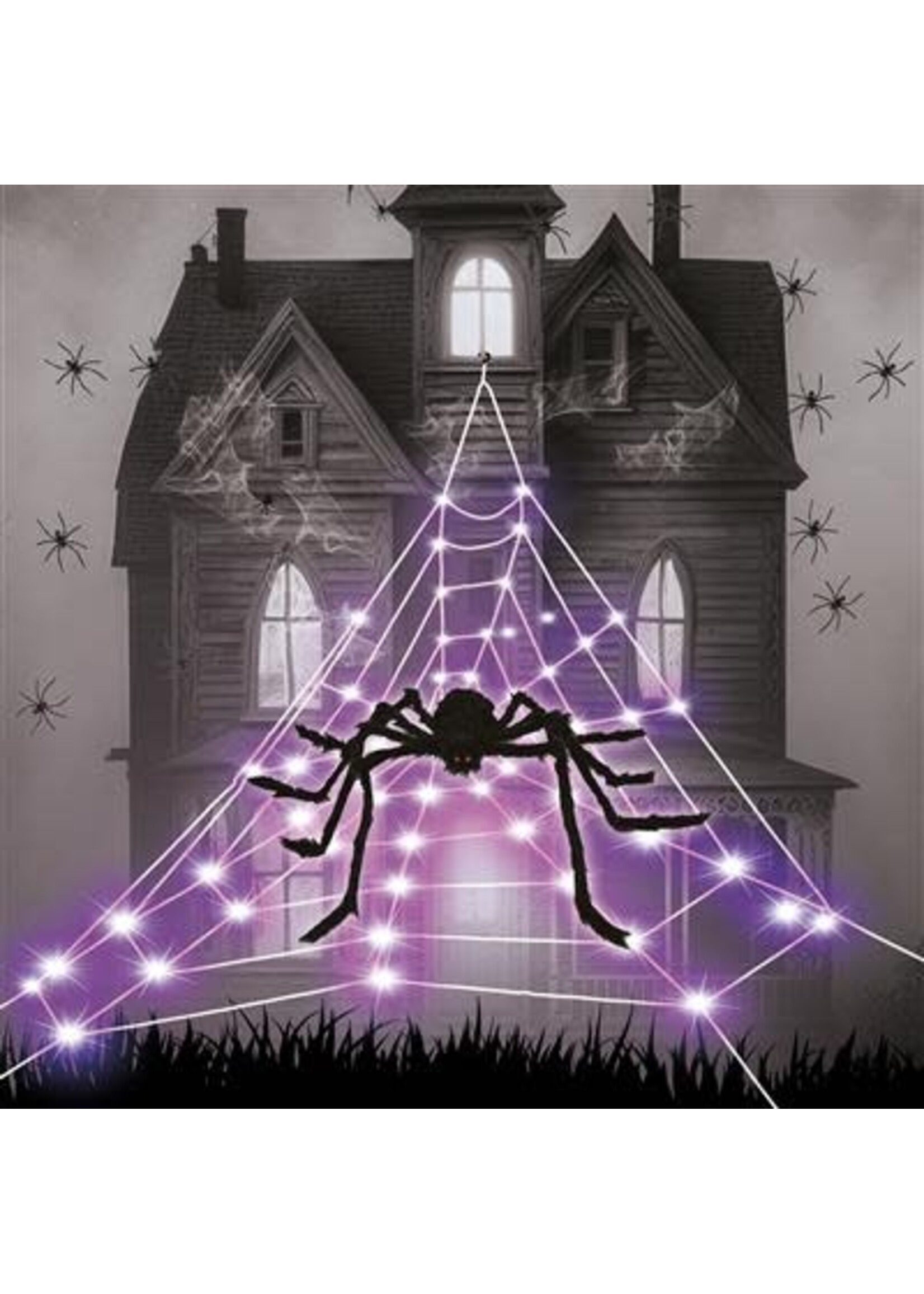 Feestkleding Breda LED Spinnenweb met spin 5m 125 violet lampjes