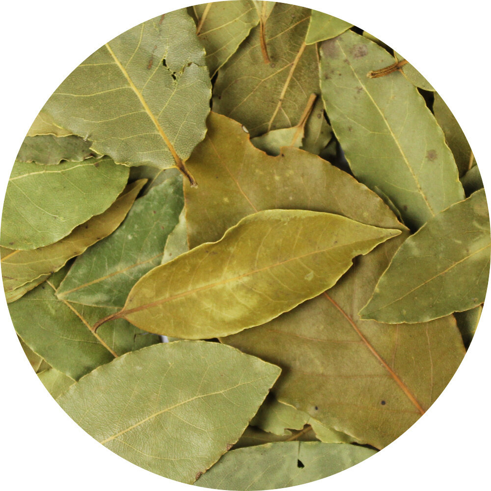 Laurierblad heel Laurierblad heel