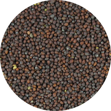 Mosterdzaad bruin heel Mosterdzaad bruin heel