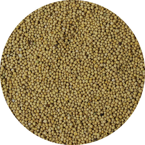 Mosterdzaad geel heel Mosterdzaad geel heel