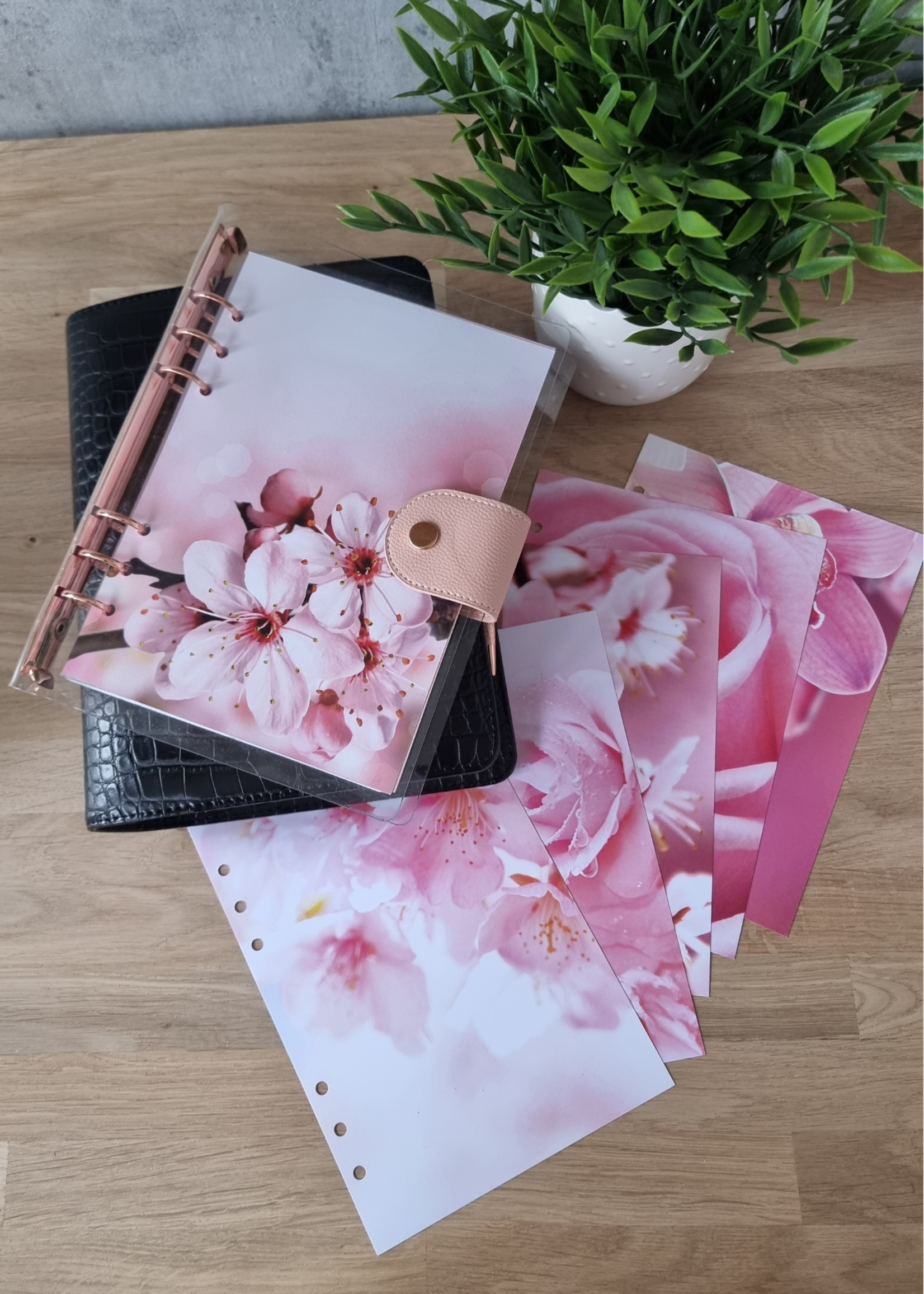 Cardboard Pink Flowers (A5)