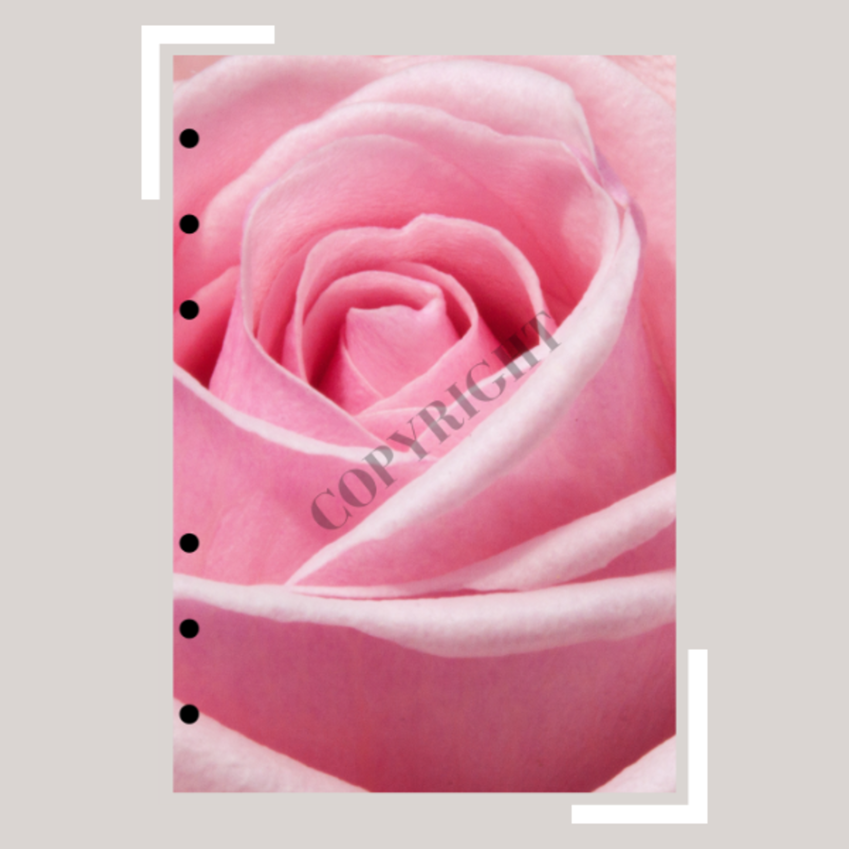 Cardboard Pink Flowers (A5)