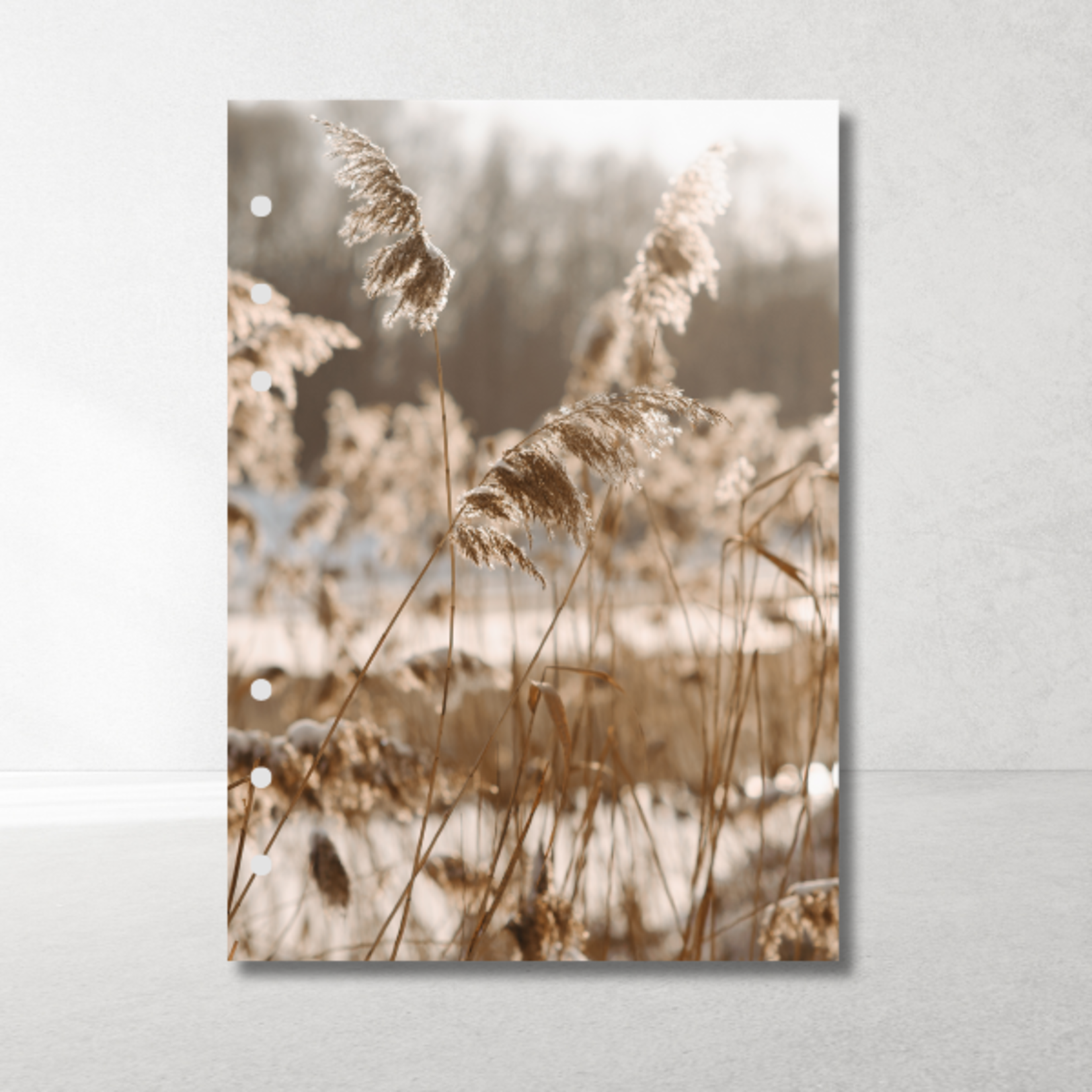 A5 Planner Inlegkaarten – set van 6, 12 designs