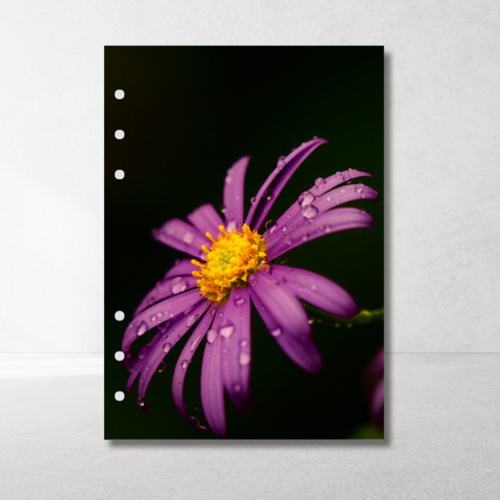 A5 Planner Inlegkaarten Dark Flowers – set van 6, 6 designs