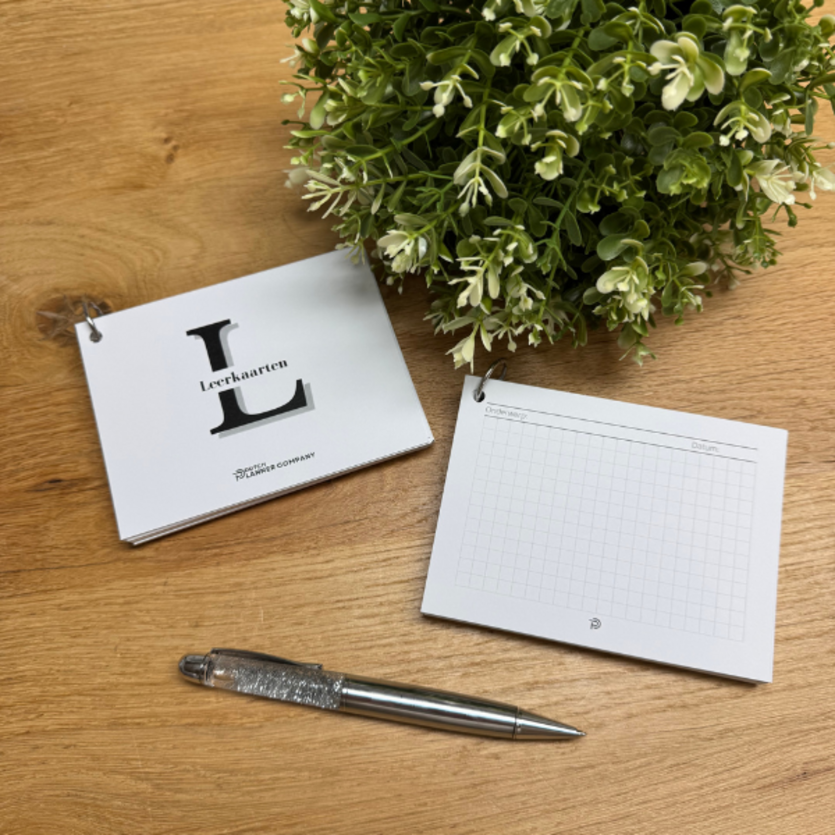 Leerkaarten met Lijntjes – compact overzicht voor leren en werk