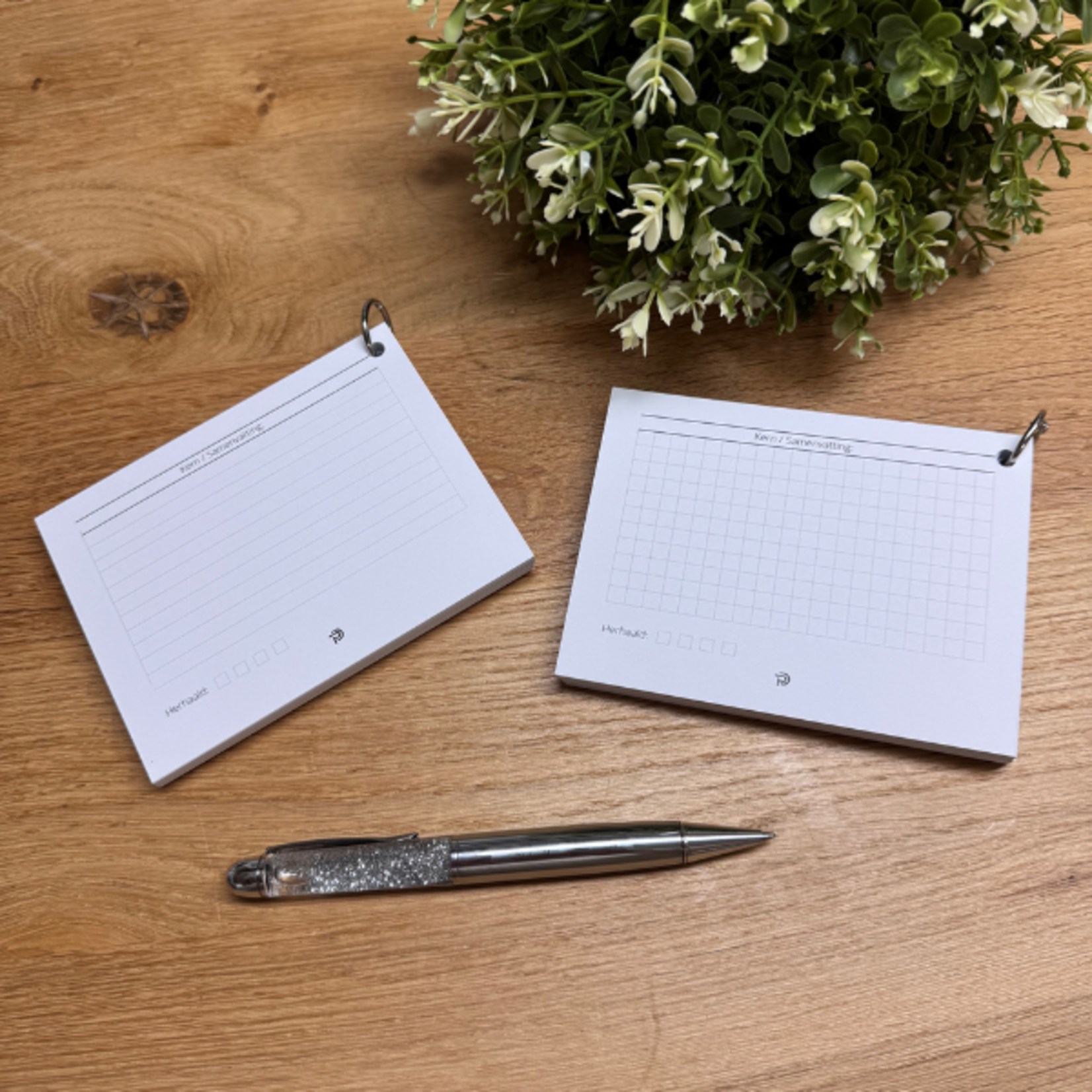 Study Cards Bundle – Lined & Grid with Extra Ring