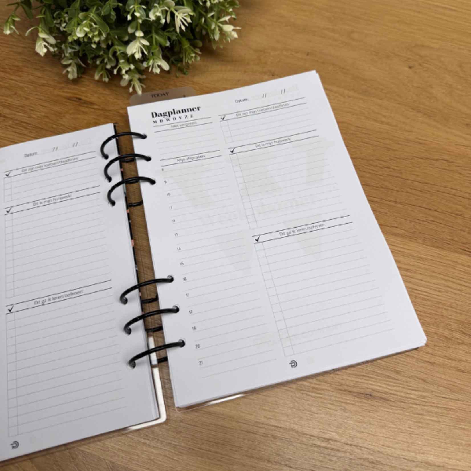 Study Planner Pro Bundle – plan, learn, and organize in one system