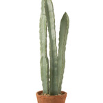J-Line Cactus 3 delen in pot plastic groen groot