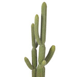 J-Line Cactus+Pot Plastic Groen/Melamine Wit Groot