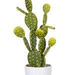 J-Line Vijgcactus Groen Groot