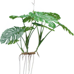 Greenmoods Kunst hangplant Monstera 130 cm XL