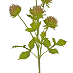 Greenmoods Kunstbloem Distel 66 cm bruin