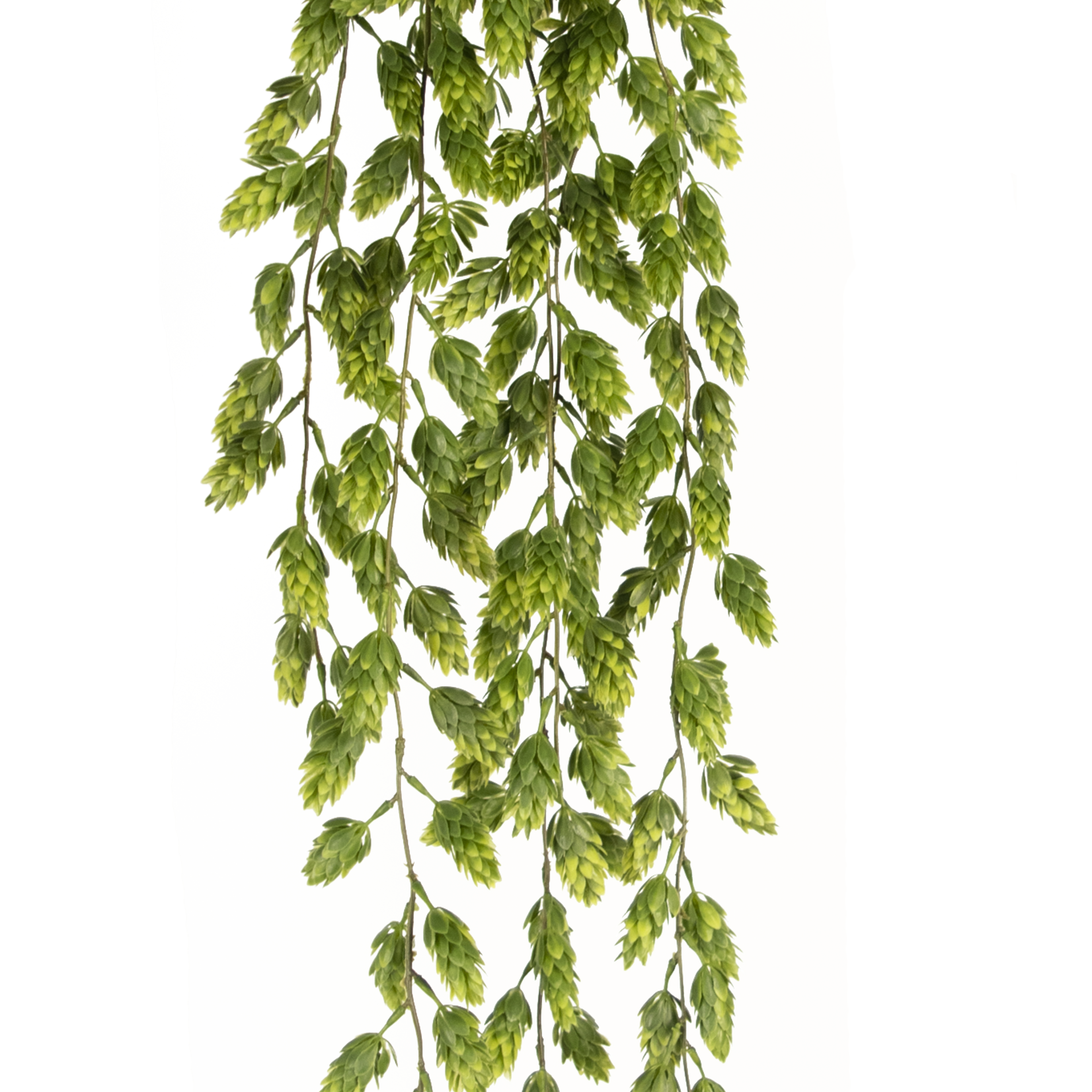 Greenmoods Kunst hangplant Hop 105 cm