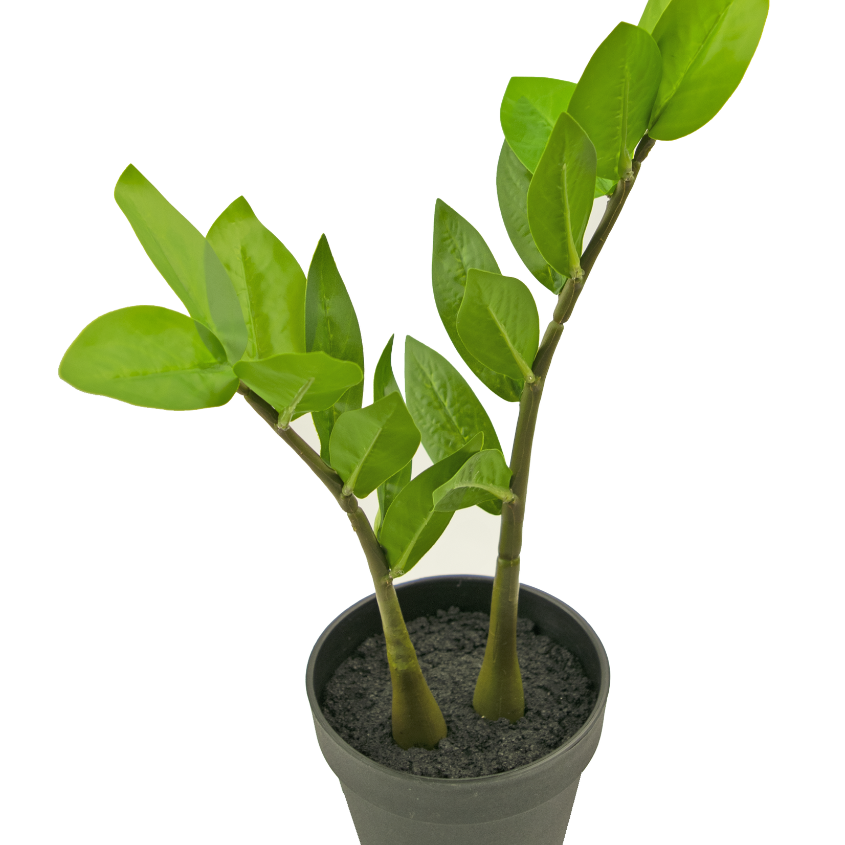 Greenmoods Kunstplant Zamioculcas 35 cm