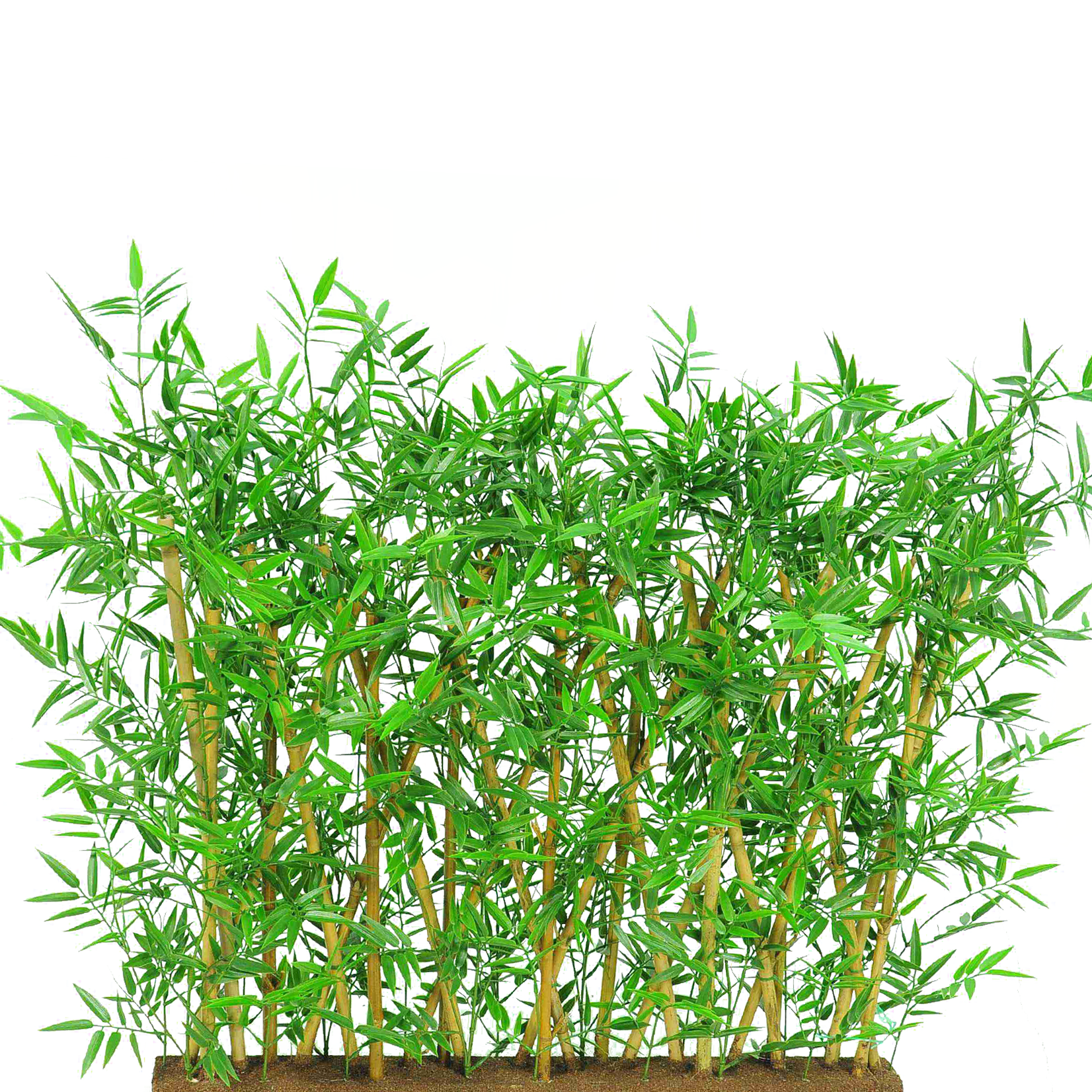 Greenmoods Kunstplant Bamboescherm 70x120 cm