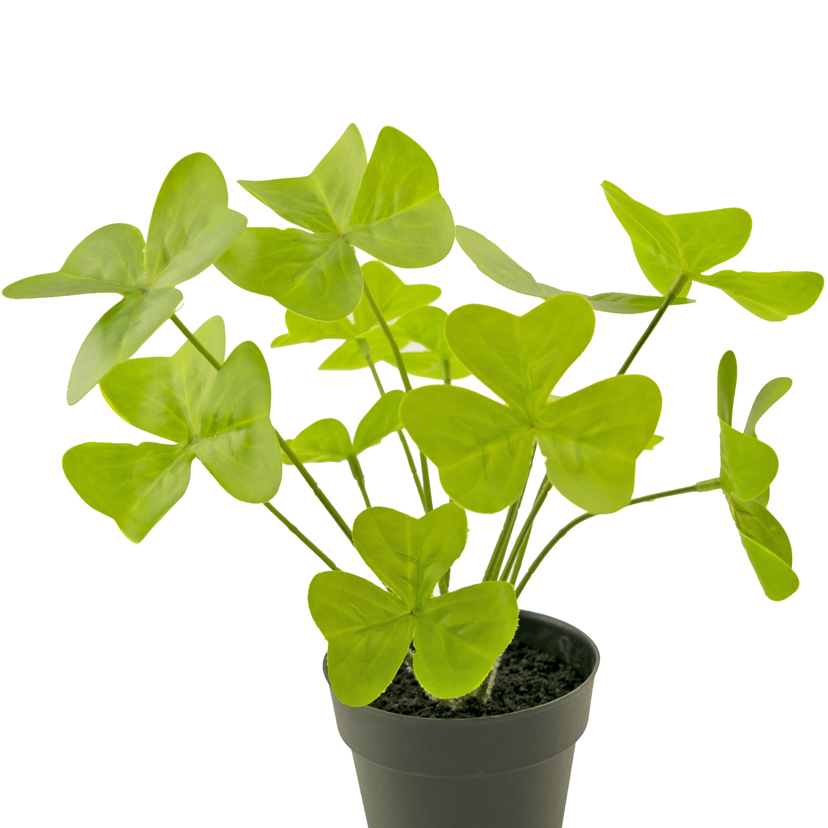Greenmoods Kunstplant Klaver 30 cm in een zwarte sierpot