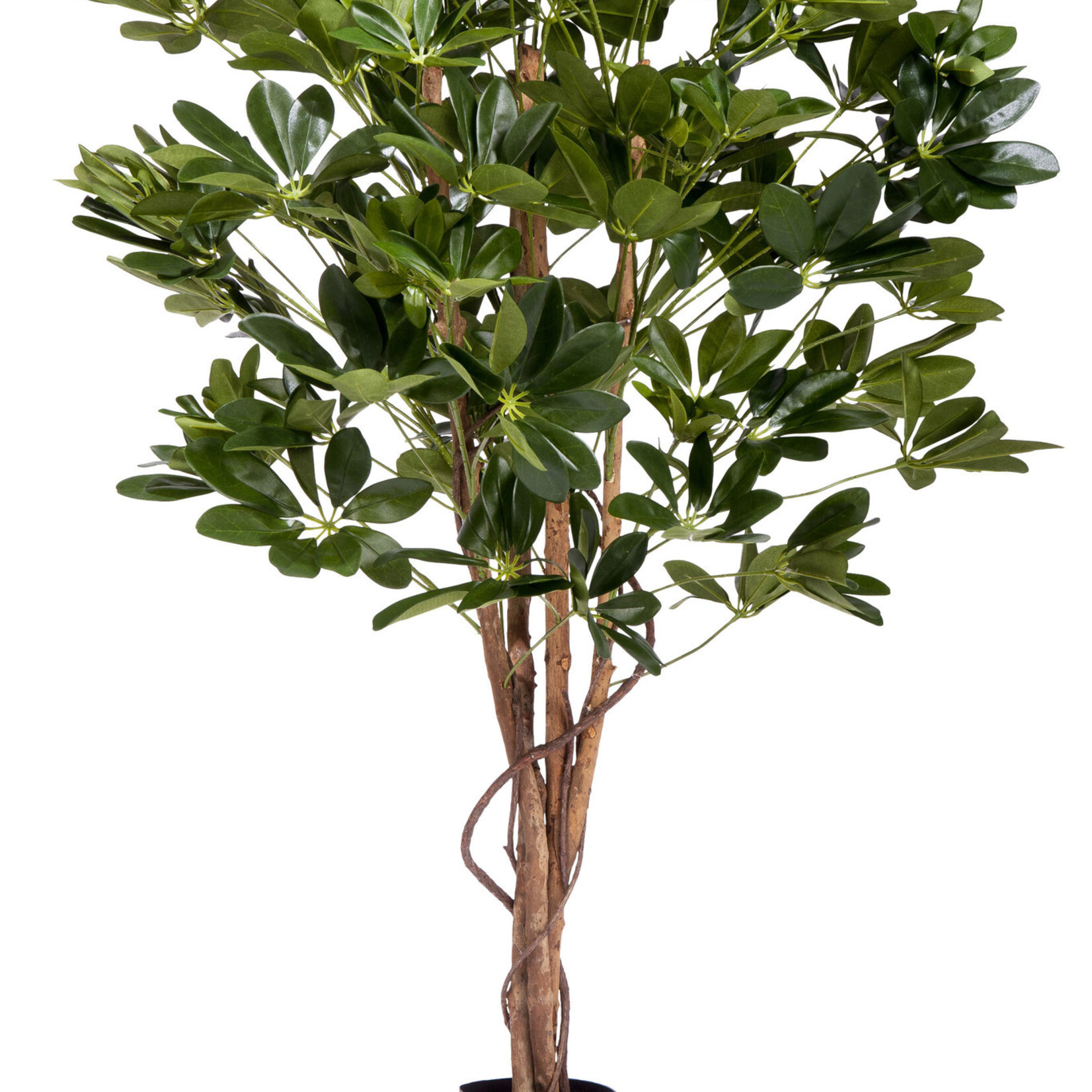 Greenmoods Kunstplant Schefflera 120 cm.