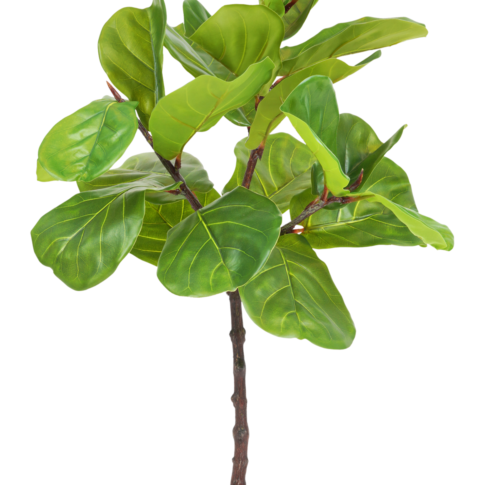 Greenmoods Kunstplant Ficus Tabaksplant 90 cm