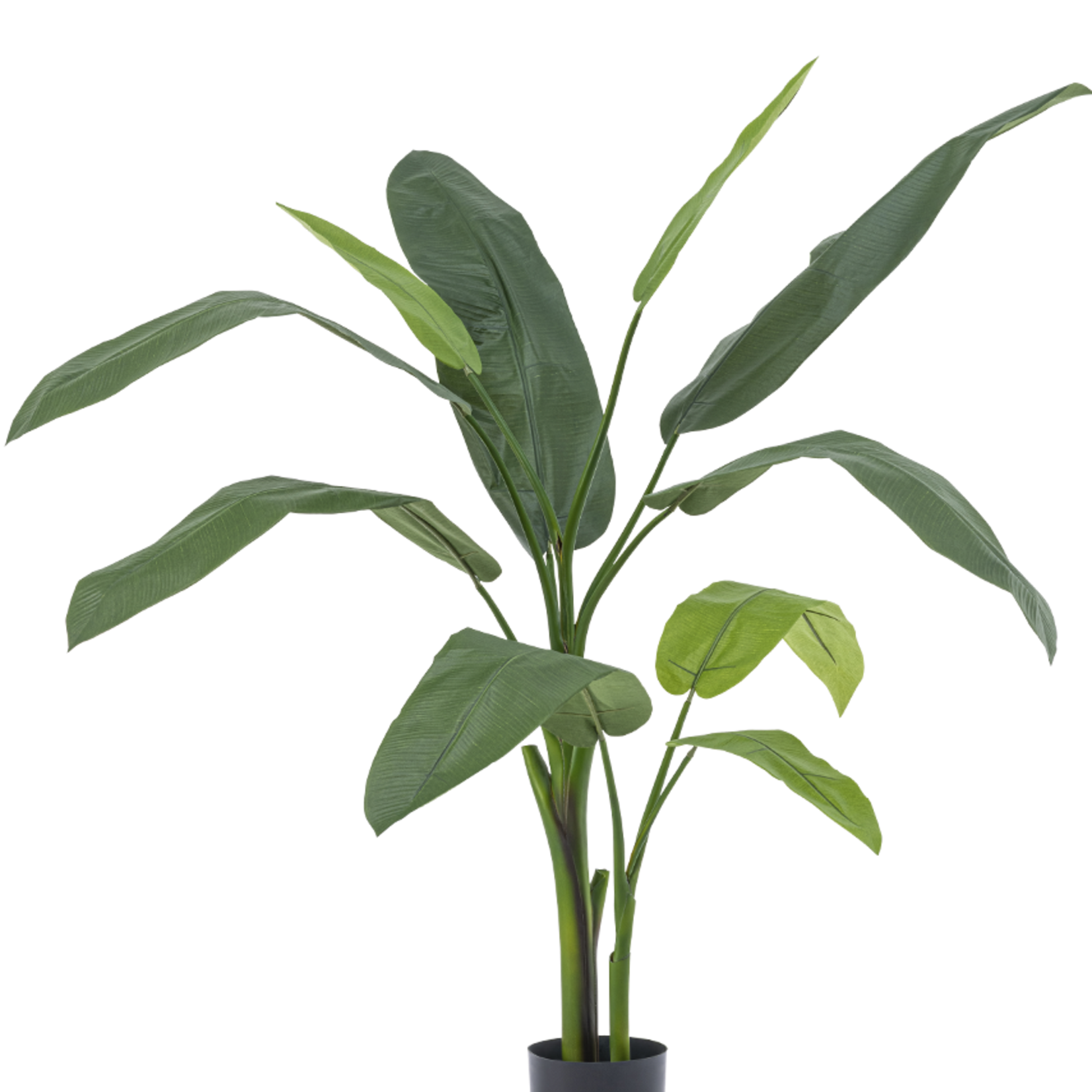 Greenmoods Kunstplant Heliconia Deluxe 140 cm zijde