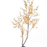 Greenmoods Kunstplant Enkianthus 180 cm perzik