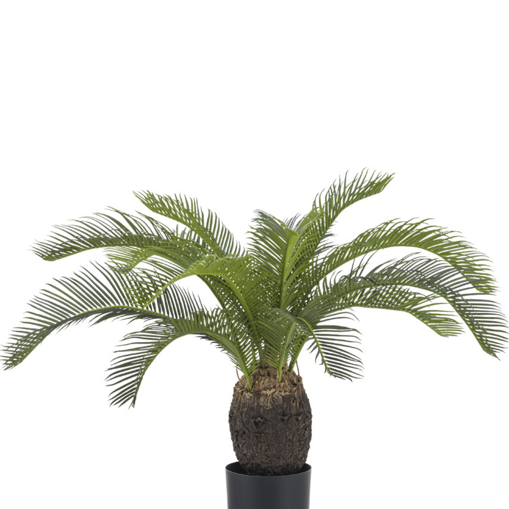 Greenmoods Kunstplant Baby Cycas Palm 60 cm