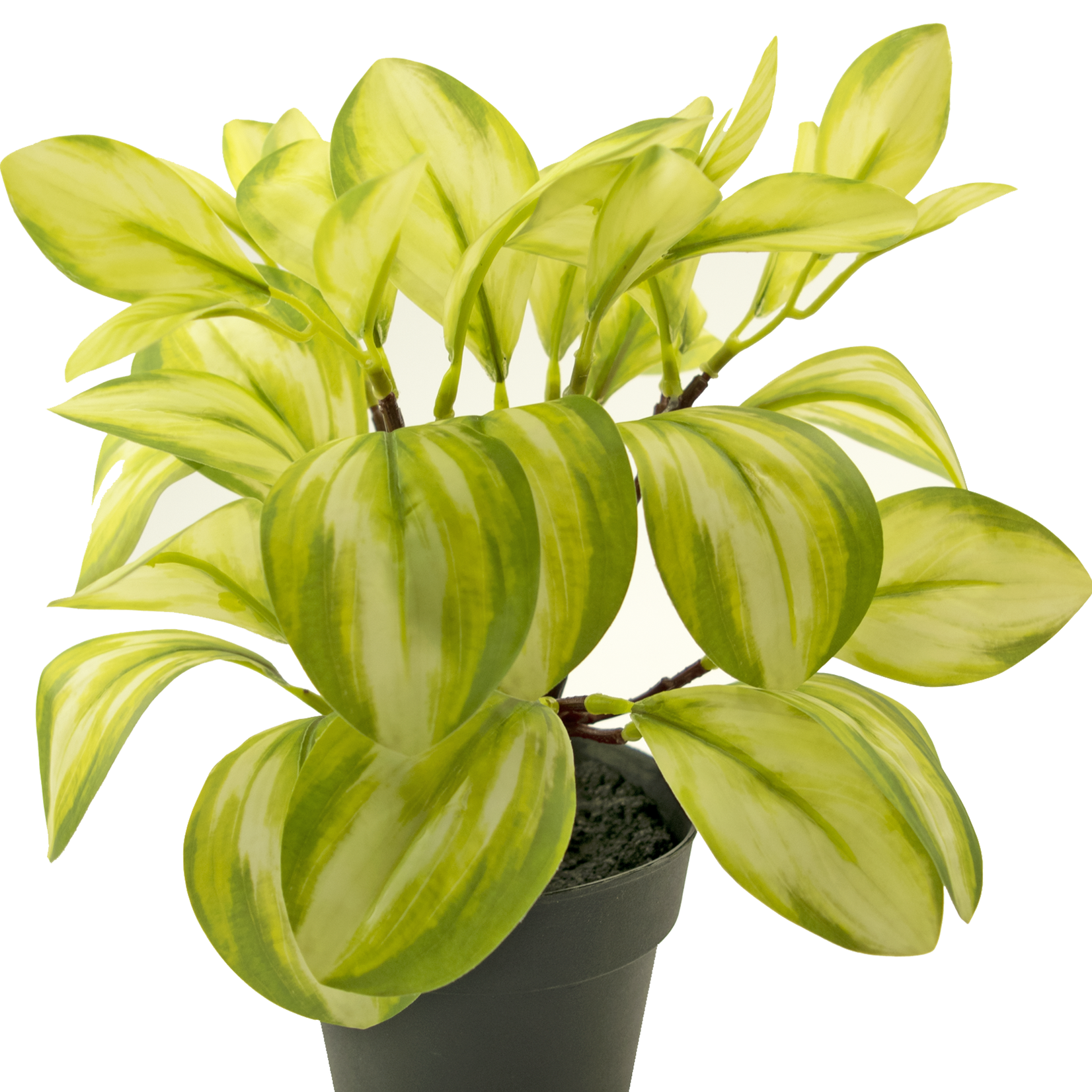 Greenmoods Kunstplant Rohdea 28 cm groen