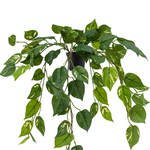 Greenmoods Kunst hangplant Pothos 70 cm