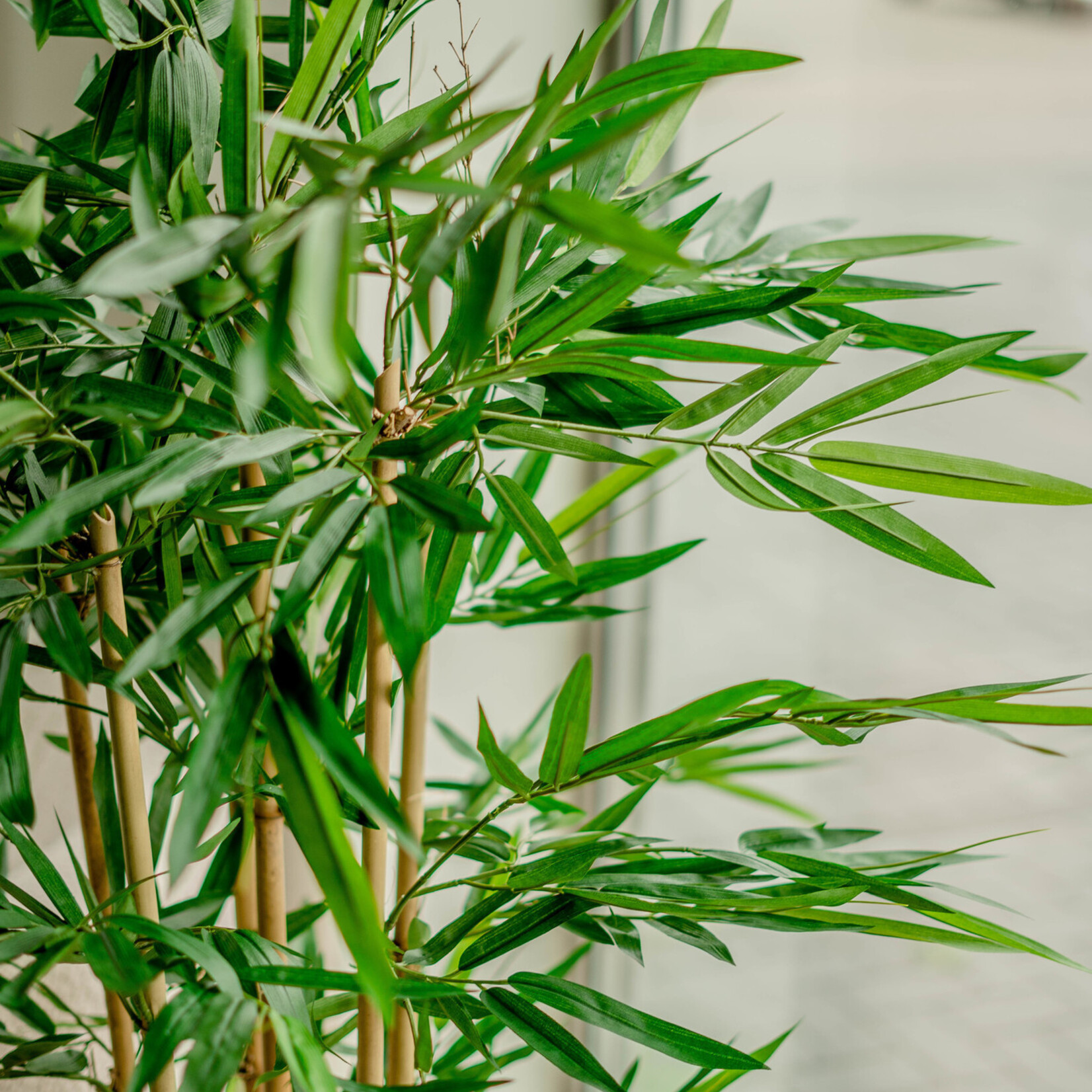 Greenmoods Kunstmatige bamboeplant van 150 cm.