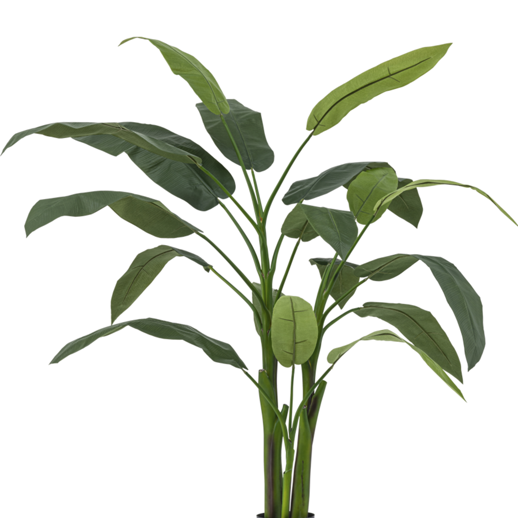Greenmoods Kunstplant Heliconia Deluxe 175 cm zijde