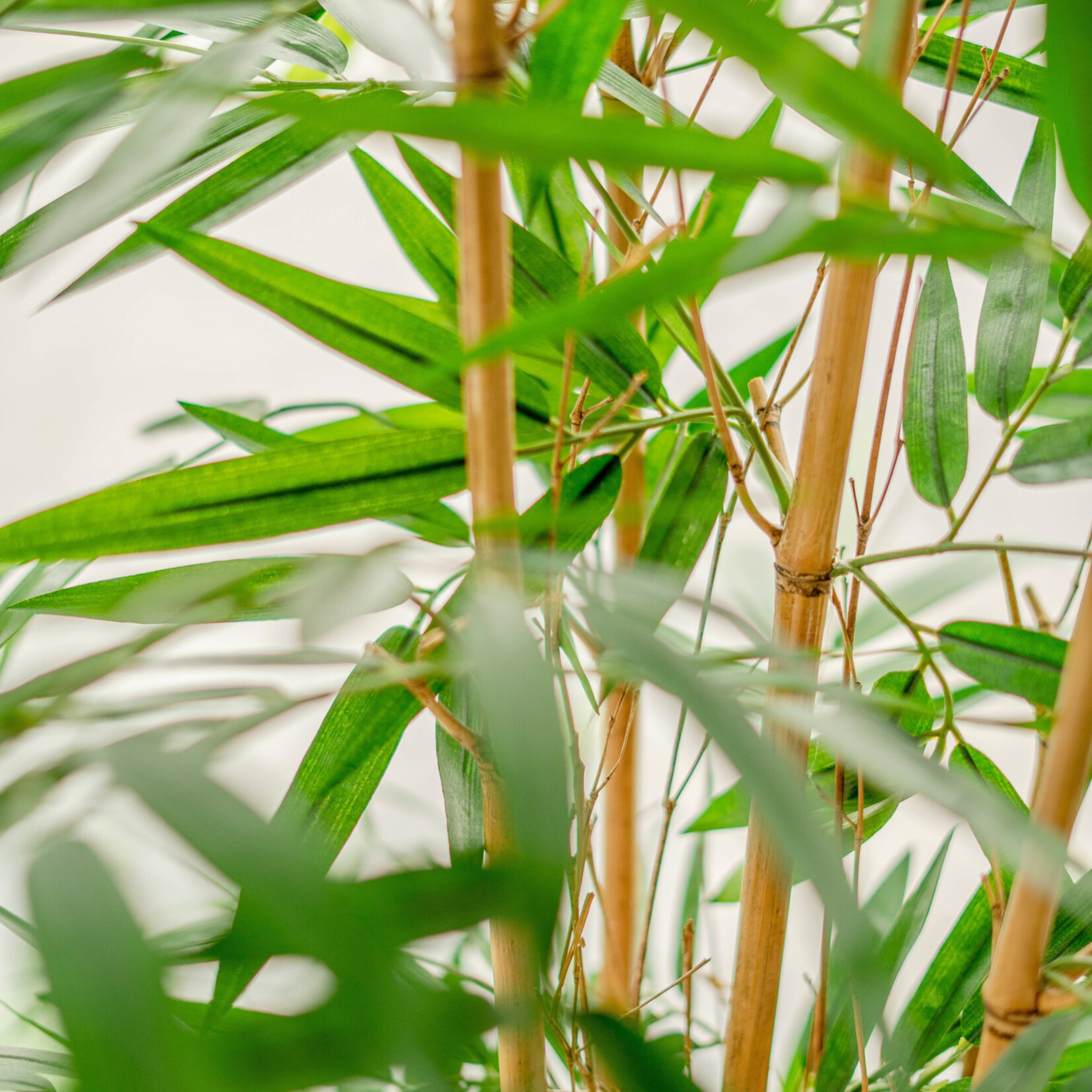 Greenmoods Kunstmatige bamboeplant van 120 cm.