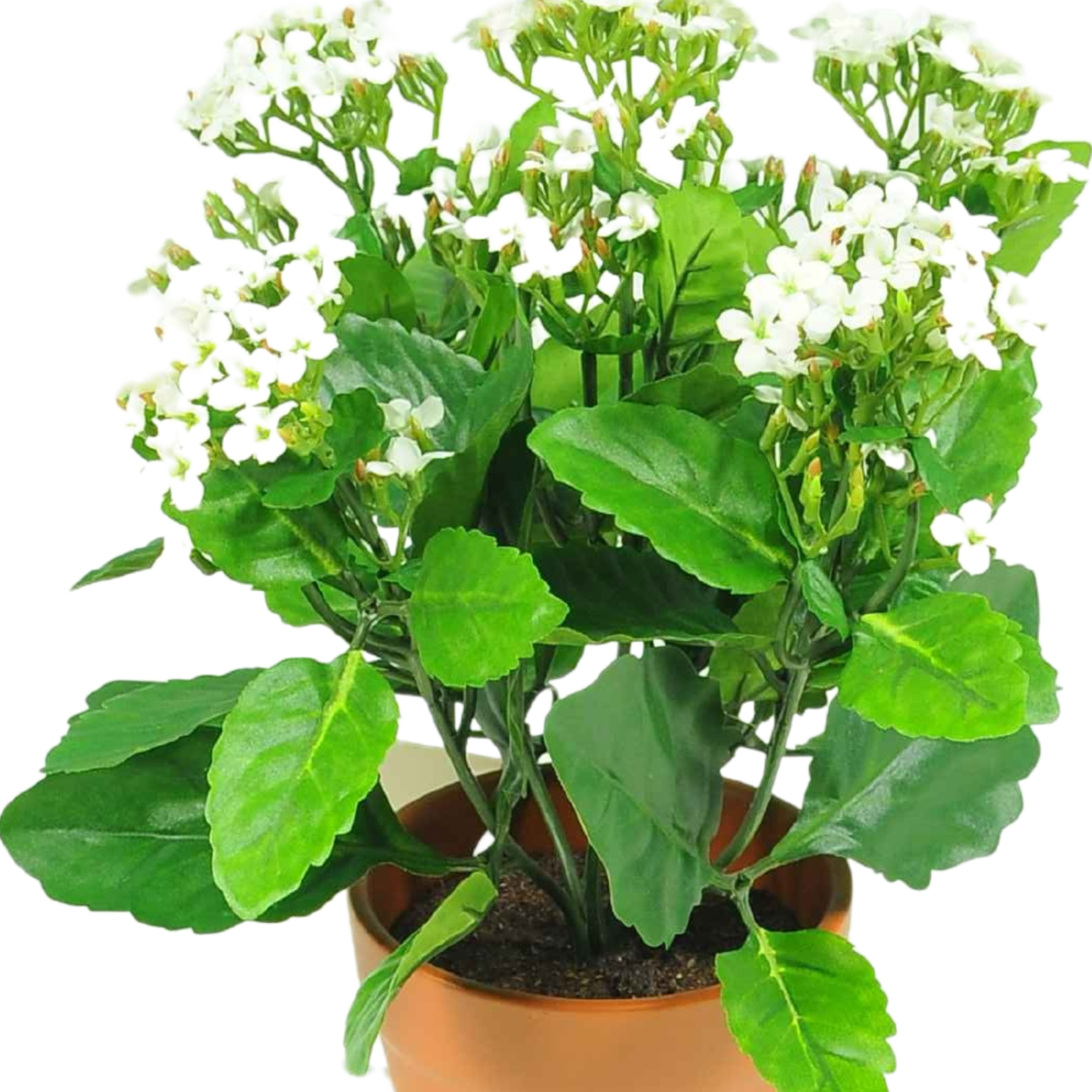 Greenmoods Kunstbloem Kalanchoe plant 31 cm wit