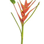 Greenmoods Kunstbloem Heliconia 90 cm rood