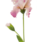 Greenmoods Kunstbloem Iris 80 cm roze