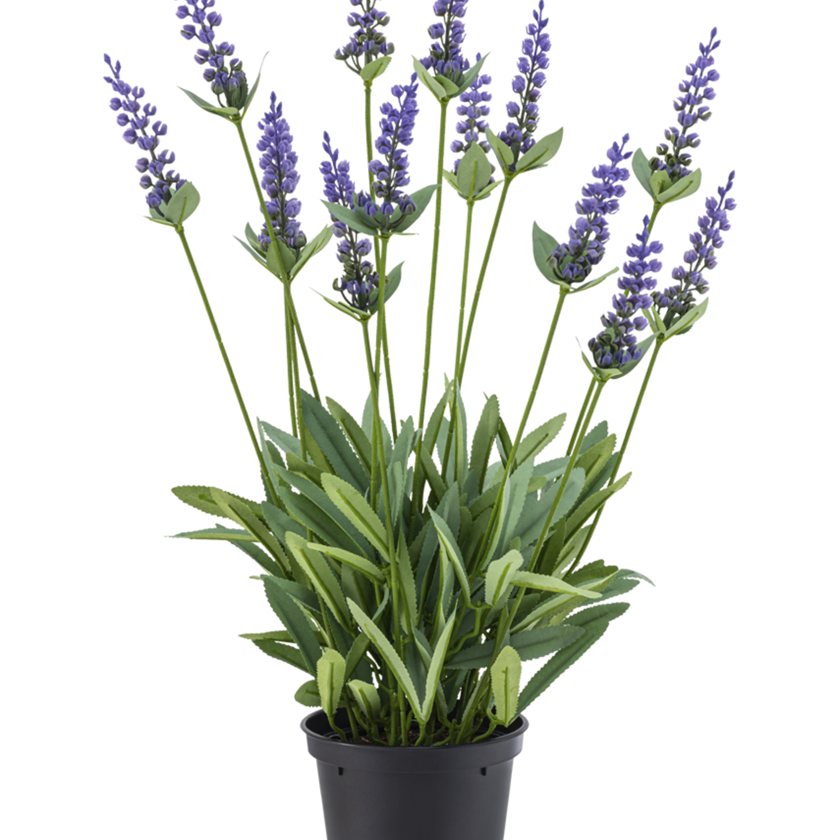 Greenmoods Kunstplant Lavendel 44 cm