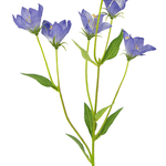 Greenmoods Kunstbloem Lisianthus 62 cm blauw