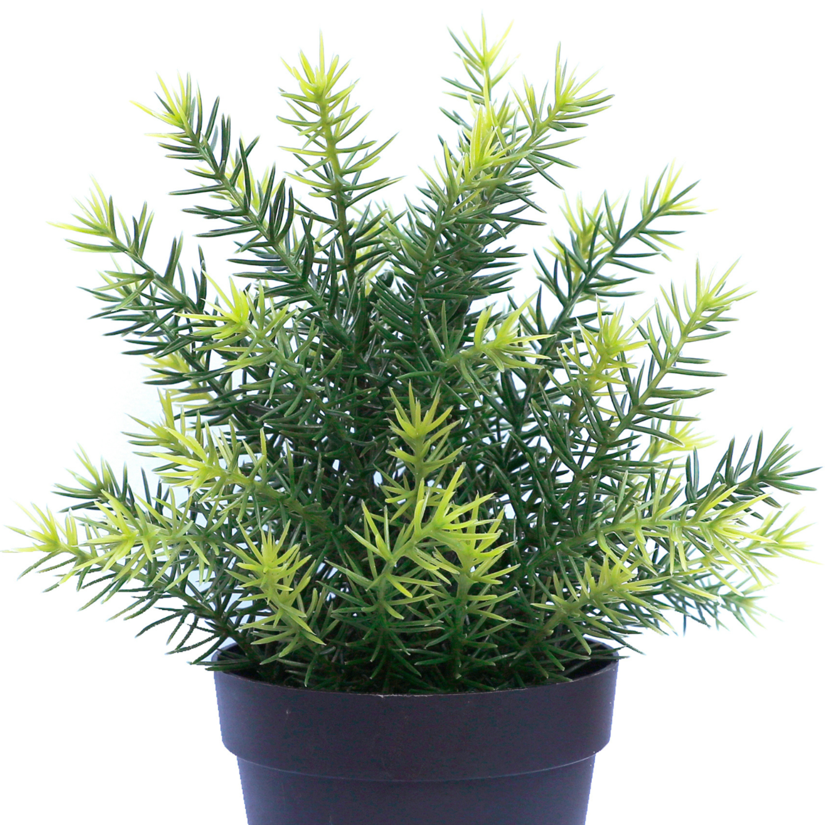 Greenmoods Kunstplant Asparagus in pot UV