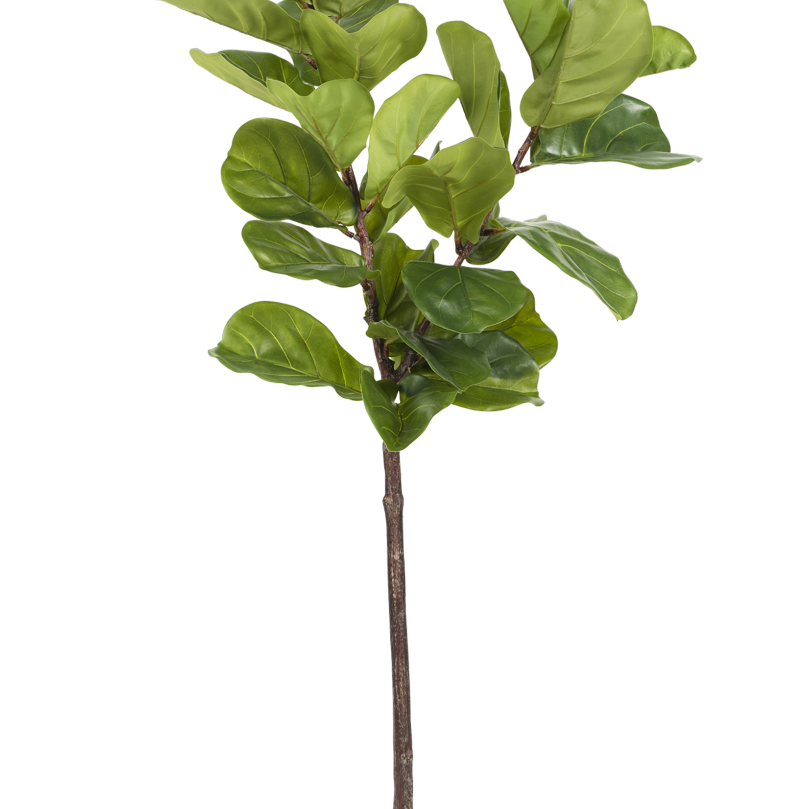 Greenmoods Kunstplant Ficus Tabaksplant 150 cm -> Kunstplant Ficus Tabaksplant 150 cm