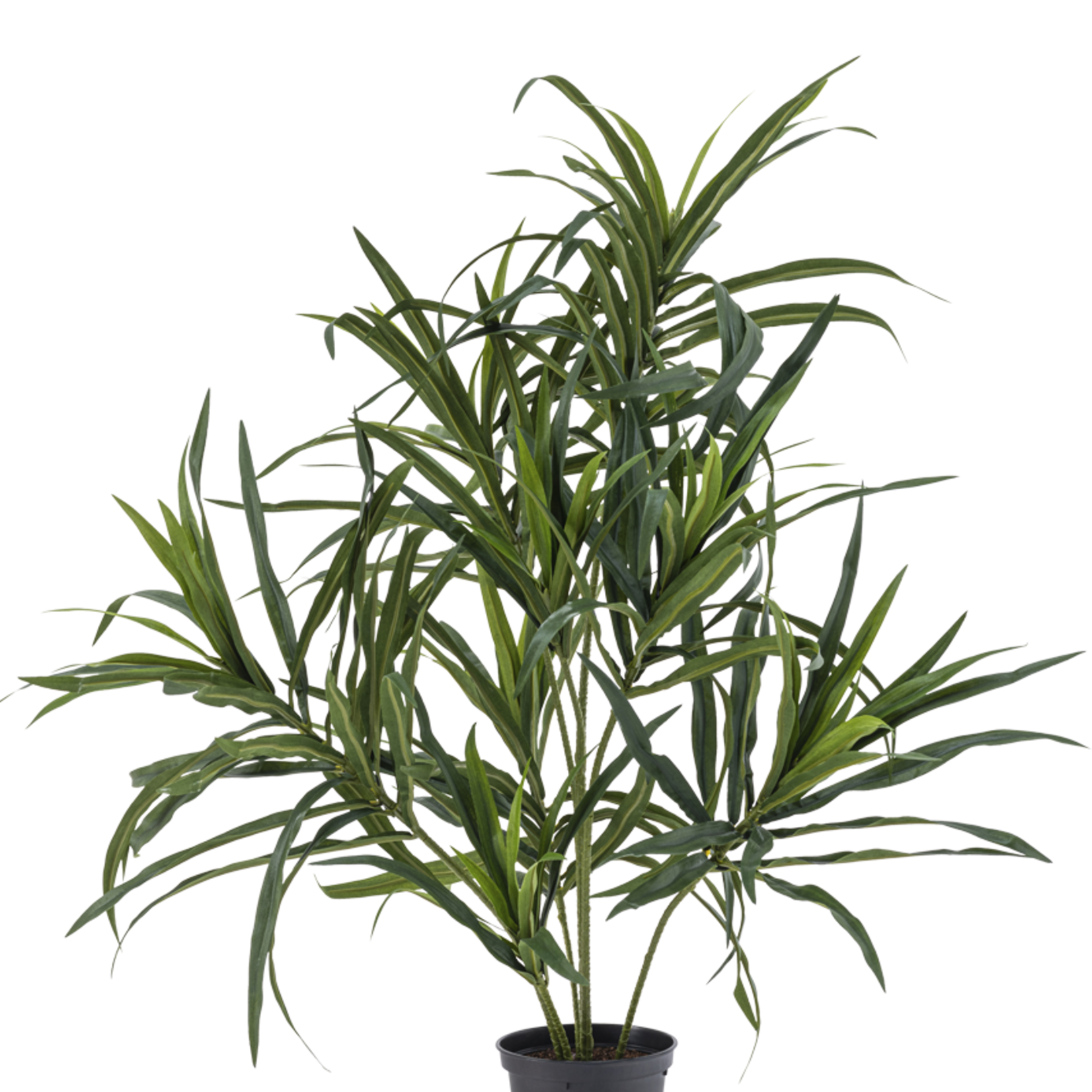 Greenmoods Kunstplant Dracaena Reflexa in pot van 63 cm