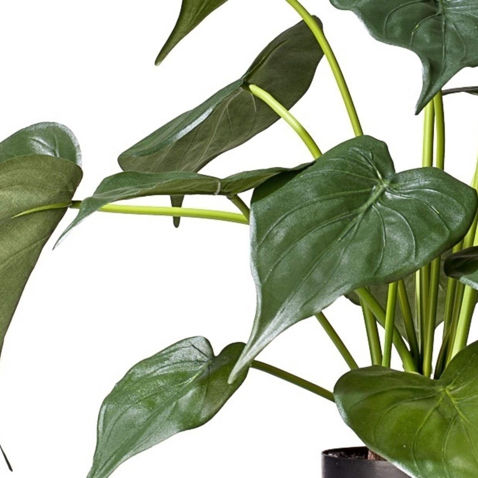 Greenmoods Kunstplant Alocasia 51 cm