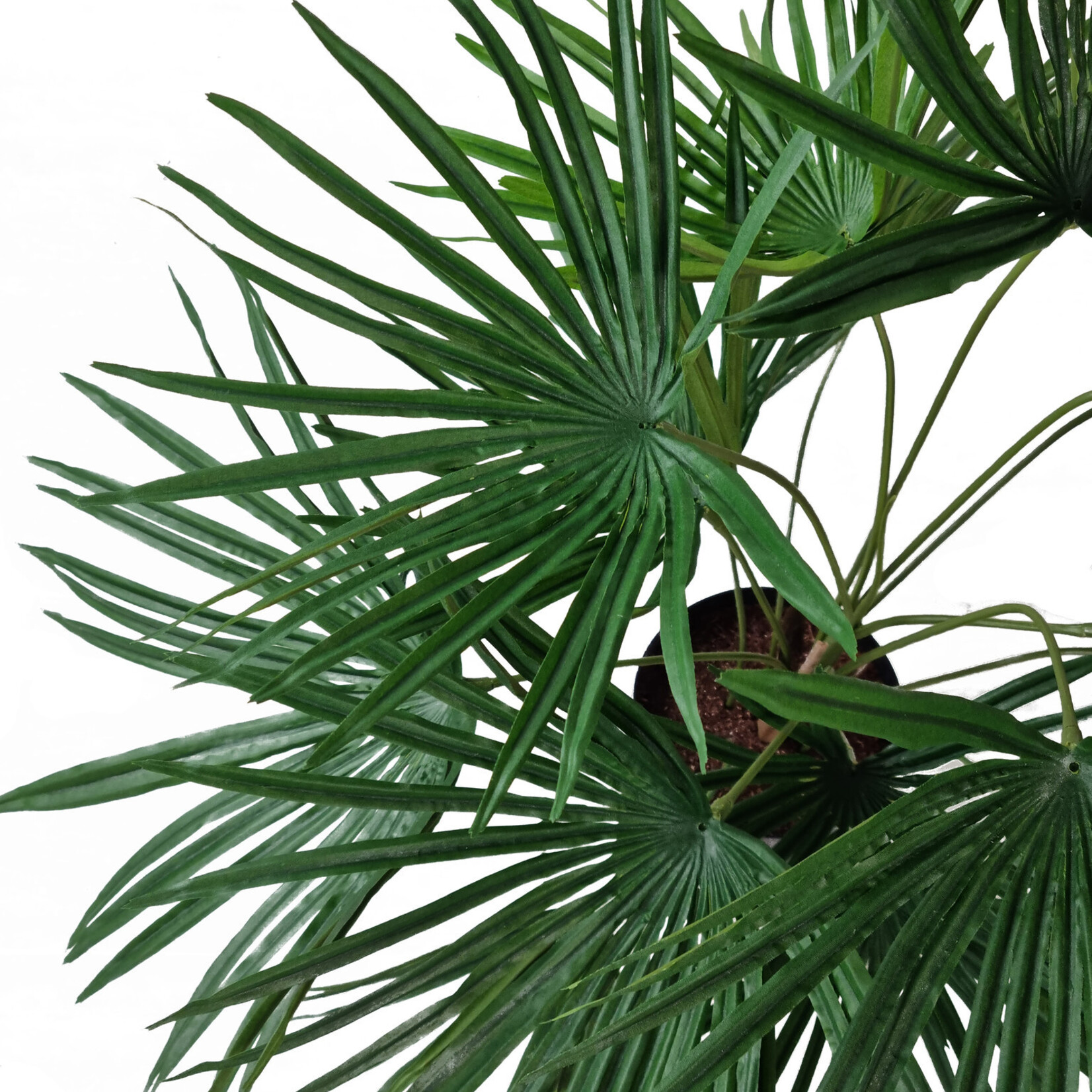 Greenmoods Kunstplant Baby Palm Fan in pot 50 cm