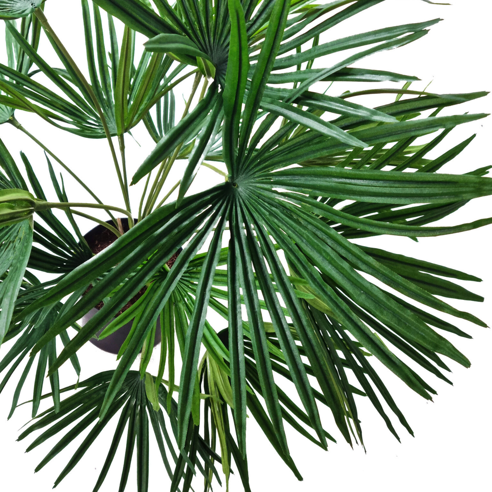 Greenmoods Kunstplant Baby Palm Fan in pot 50 cm