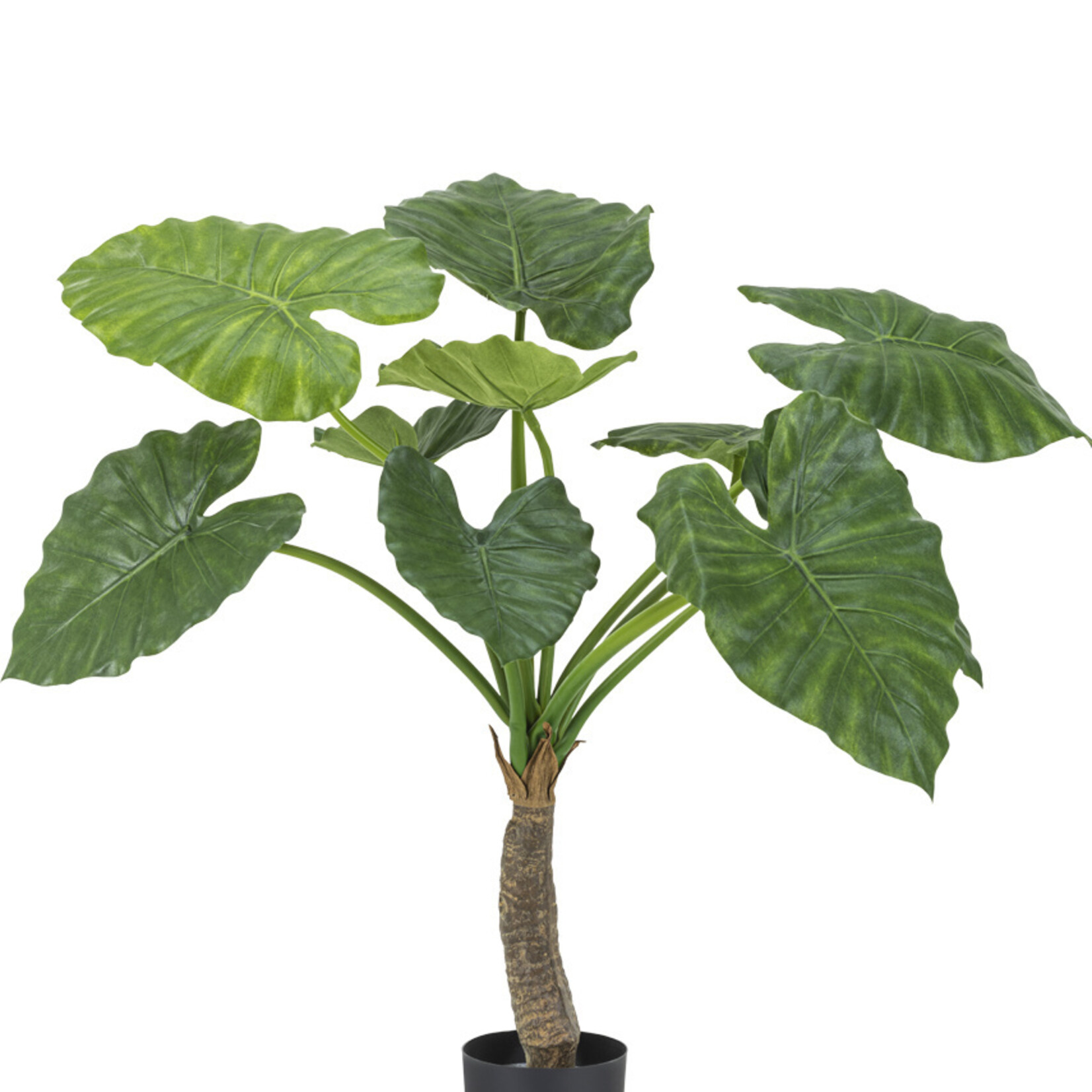 Greenmoods Kunstplant Alocasia 80 cm